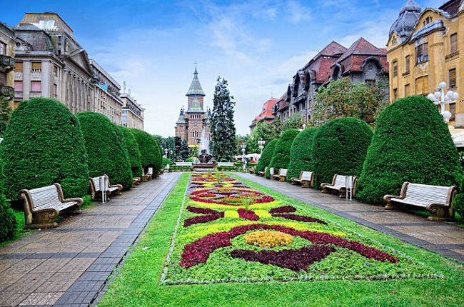Grădini și zone verzi în centrul Timișoarei